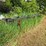 john-deere-3600-image-7
