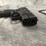 #4352-•-beretta-apx-a1-9mm-luger-pistol,-sn:-axc158923-image-4