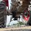 242---massey-ferguson-150g-(sn#-642003923)-image-16