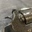 #4350-•-colt-anaconda-44-rem-mag-revolver,-sn:-ac101898-image-9