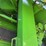 2010-john-deere-2010-image-24
