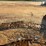 2206---welcome-to-the-ranch-sign-image-1