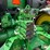 2015-john-deere-9520rt-image-13
