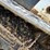 #16577-•-2016-bobcat-mt55-mini-skid-steer-image-26