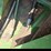 john-deere-1518-image-15