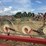 #26606-•-sitrex-columbia-tr1113-hay-rake-image-38