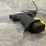 #4353-•-stoeger-str-9-combat-9mm-luger-pistol,-sn:-t6429-23ag00450-image-5