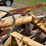 #20858-•-amco-10ft-disc-plow-image-12