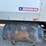 2006-international-durastar-4300-image-12