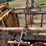 for-most-cattle-chute-image-12