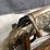 #4456-•-winchester-xpr-300-win-mag-bolt-action-rifle,-sn:-pt09578yw357-image-8