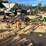 156---2-row-cultivator-image-6