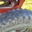 j&m-350-20-hopper-wagon-w/running-gear---tag-#1042-image-26
