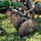 john-deere-637-image-51