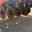 land-pride-606nt-image-9