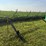 #1437-•-kelderman-8r30”-down-corn-reel-image-1
