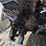 2015-volvo-vnm64t200-image-41