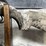 #4456-•-winchester-xpr-300-win-mag-bolt-action-rifle,-sn:-pt09578yw357-image-24