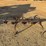 2196---chisel-plow-image-5