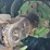 2002-john-deere-926-image-18