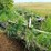 john-deere-3600-image-5