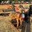 2213---teakwood-rocking-horse-image-3