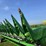 2014-john-deere-608c-image-11