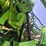 2010-john-deere-2010-image-72
