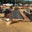 2236---16'-car-hauler-trailer-*-image-3