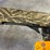 #4442-•-franchi-affinity-3.5-12-ga.-semi-auto-shotgun,-sn:-bp51353a-image-19