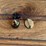 (2)-john-deere-25-year-service-pins-image-3