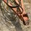 #26602-•-kongskilde-0102-25'-cultivator-image-45