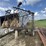 30ft-chain-harrow-wilson825-b24-image-8