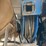 2014-international-durastar-4300-image-27