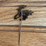 (2)-john-deere-button-+-straight-pin-image-3