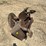 2-bottom-disk-plow-image-1