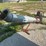 6ftx8in-hutchinson-incline-auger-image-4