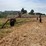 #26606-•-sitrex-columbia-tr1113-hay-rake-image-1