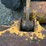 fiat-605-image-13
