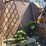 vermeer-crust-buster-rock-picker-image-12