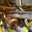 volvo-l70f-image-45