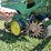 john-deere-7200-image-2