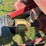 new-holland-163--2-basket-tedder-image-7