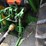 2007-john-deere-5203-image-41
