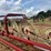 #26606-•-sitrex-columbia-tr1113-hay-rake-image-34