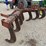case-513-7-shank-v-ripper-image-9