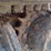 2019-bobcat-e42-image-29