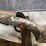 #4456-•-winchester-xpr-300-win-mag-bolt-action-rifle,-sn:-pt09578yw357-image-23