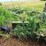 john-deere-3600-image-6