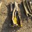 2203---8-boat-paddles-image-2